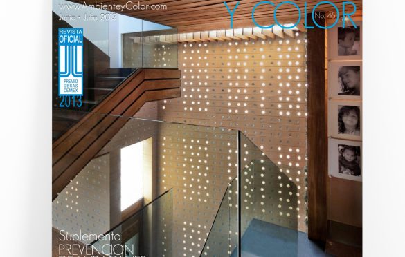 Revista-Ambiente-y-Color-Puerto-Rico-Ed-46